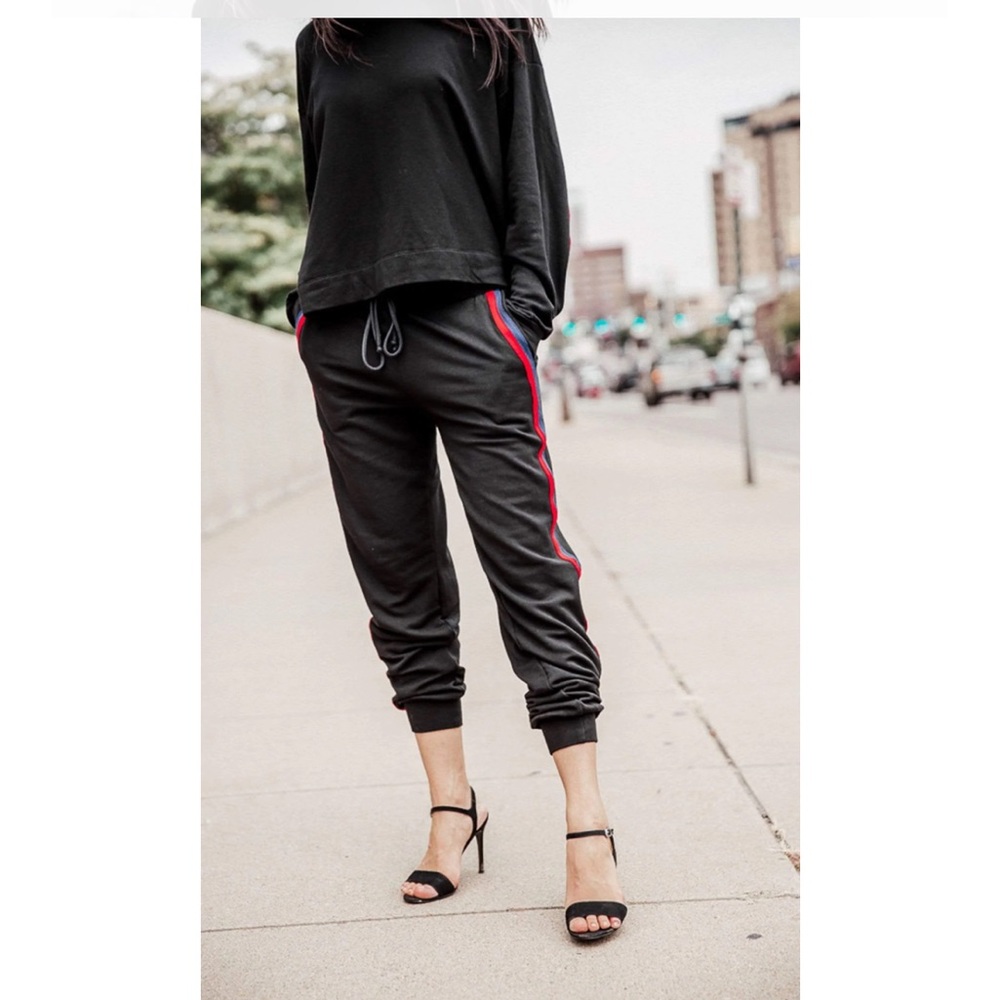 Velvet By Graham and Spencer Dior Stripped Jogger Pants Medium - Picture 10 of 10